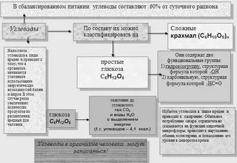 Углеводы доклад по биологии