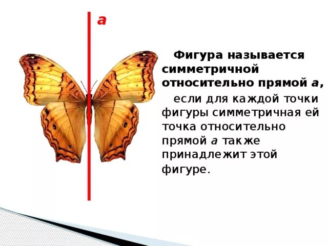 Картинки РИСУНОК СИММЕТРИЧНЫЙ ОТНОСИТЕЛЬНО ПРЯМОЙ ОСЕВАЯ СИММЕТРИЯ