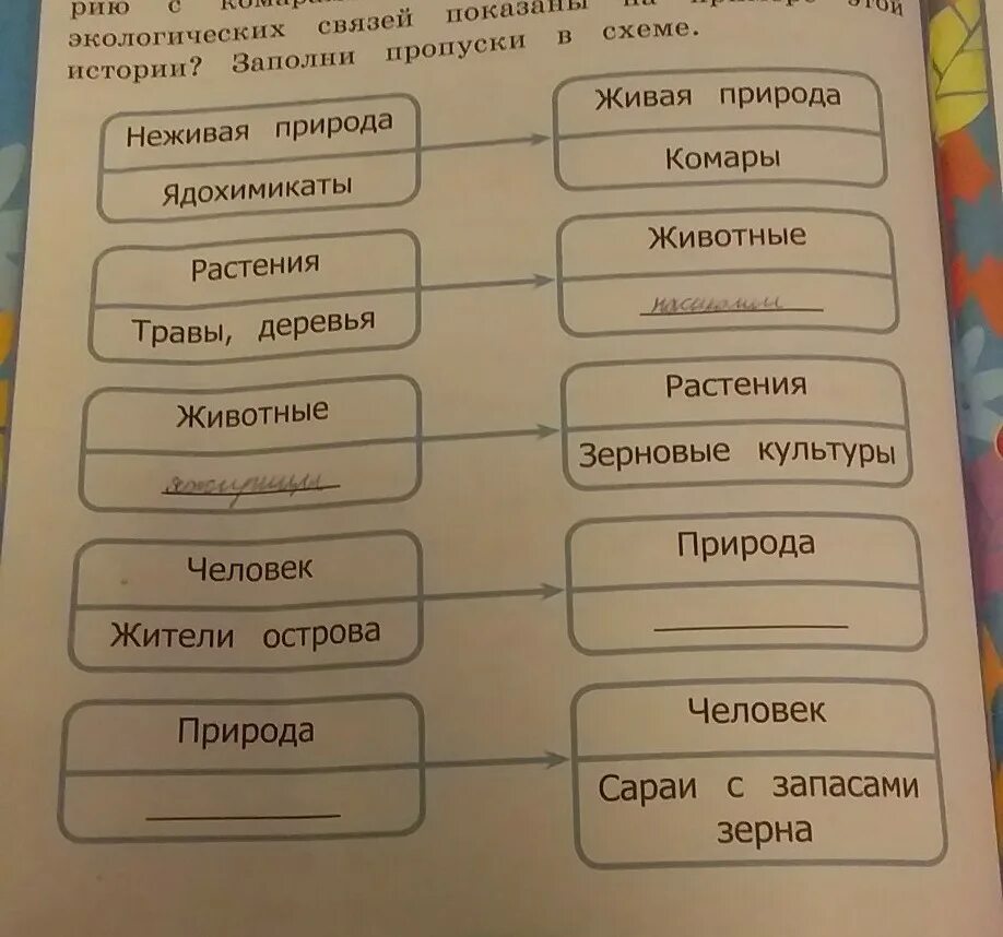 24 истории рассказы. История с комарами и кошками 3 класс. Коротко рождение хлеба заполни пропуски в схеме. К какой группе экологических связей. Коротко рождение хлеба схема.