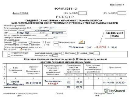 Регистрационный номер в фрсн