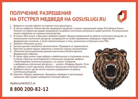 Отстрел медведей разрешение