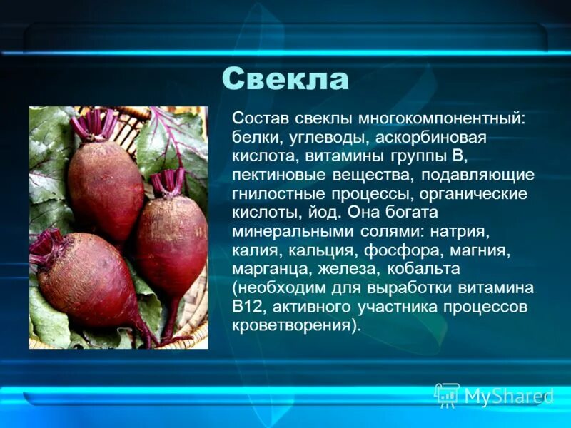 Свекла пищевая. Свекла витамины. Свекла состав. Свекла микроэлементы.