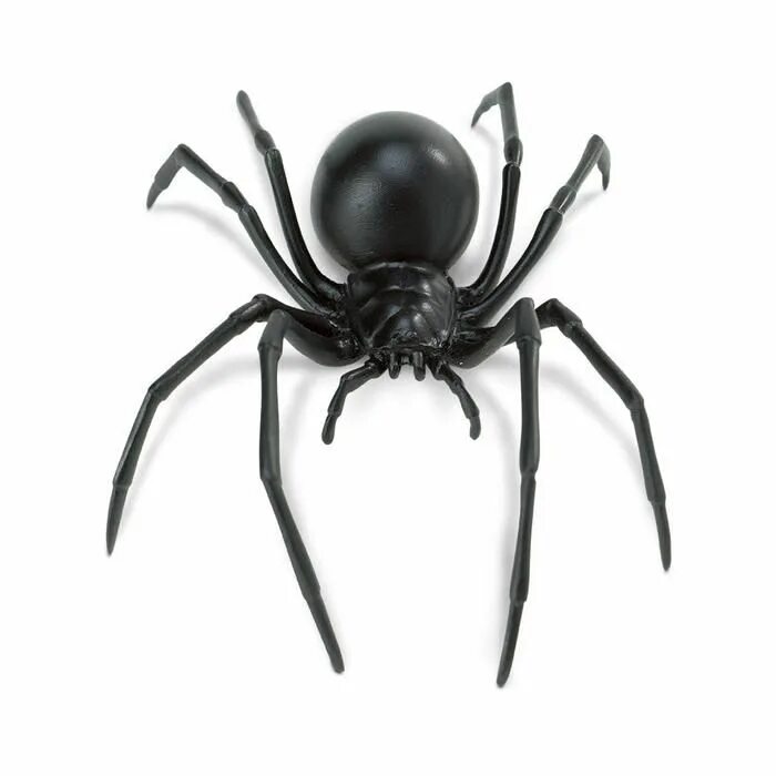 Черный паук хорошо. Фигурка паука "черная вдова". Фигурка Safari Ltd черная вдова 545406. Фигурка паука Safari Ltd черная вдова XL. Паук Фрин.