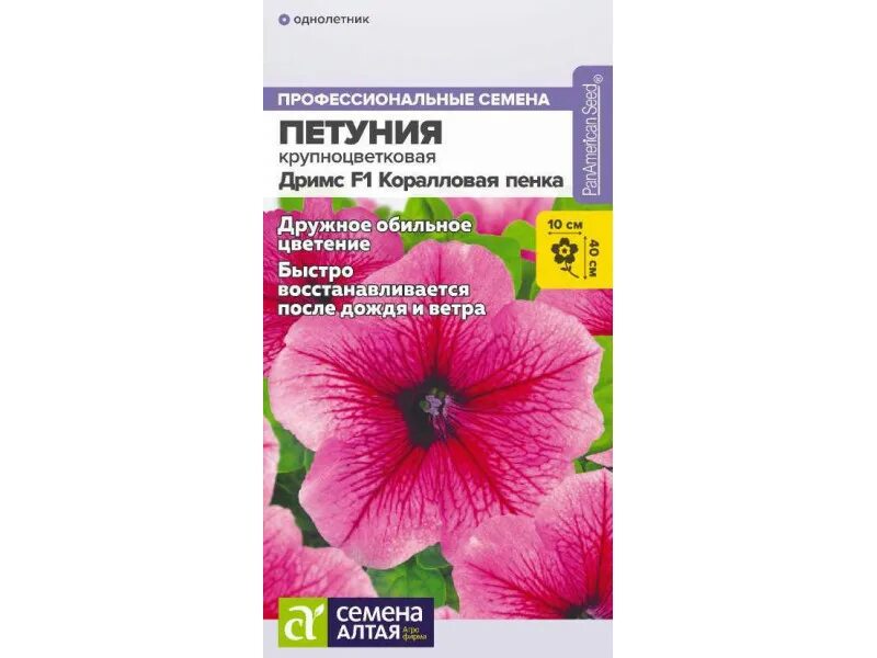 Коралловая пенка. Петуния коралловая f1. петуния гарден бьюти f1. петуния крупноцветковая дримс салмон. петуния дримс коралловая пенка.
