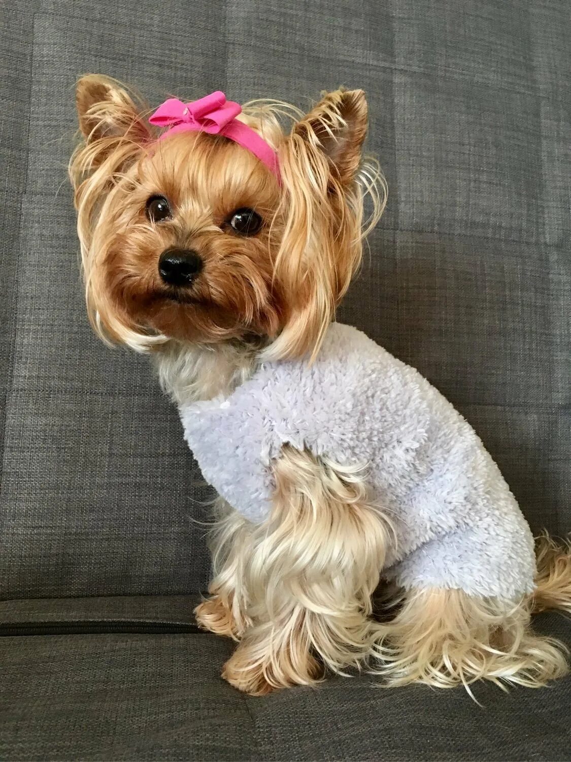 Оэон. Подставка напольная 1 горшок "бутон" м0000312 п86056. Оэон. 42106 озон. Оэон.