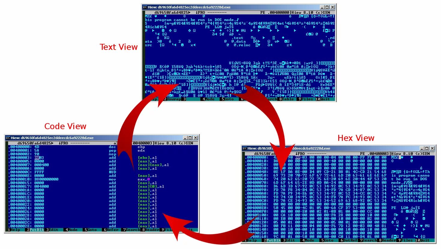 This programme watch. Hiew. Hiew ICO. Hiew 1.204. Н!Ё LН!this program cannot be Run in dos Mode..