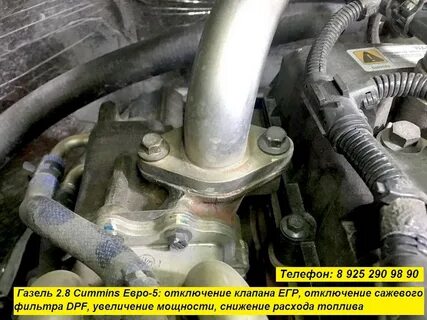 Егр некст