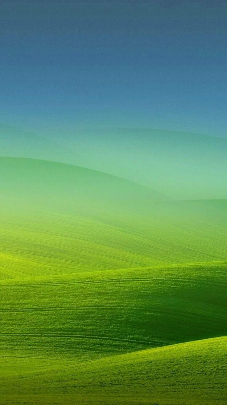 Зеленый пейзаж. Фоновое изображение. Красивый зеленый пейзаж. Зеленые обои.