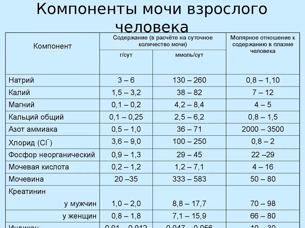 Моча какие элементы