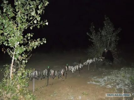 Погода в болхунах астраханской
