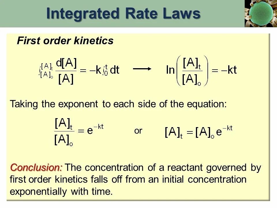 Order by first. First order reaction. rate of chemical reactions. 1 and 0 order kinetics. rate law chemistry.