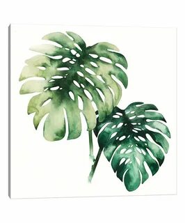 Plant 02