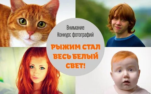 Быть рыжей читать