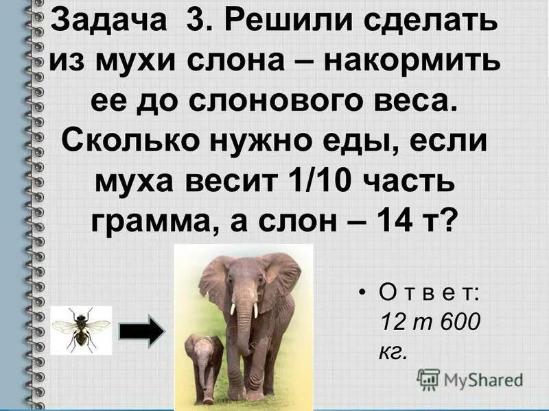 Сколько весит слон. Сколько весит маленький слон. Сколько весит самый большой слон. Сколько весит слон взрослый.