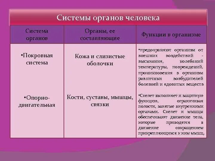 Система покровных органов человека функции. Системы органов их строение и функции. Таблица системы органов человека 8 класс. Характеристика систем органов. Биология таблица система органов.