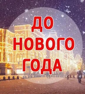 48 день года