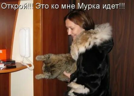 Надоели гости мужа