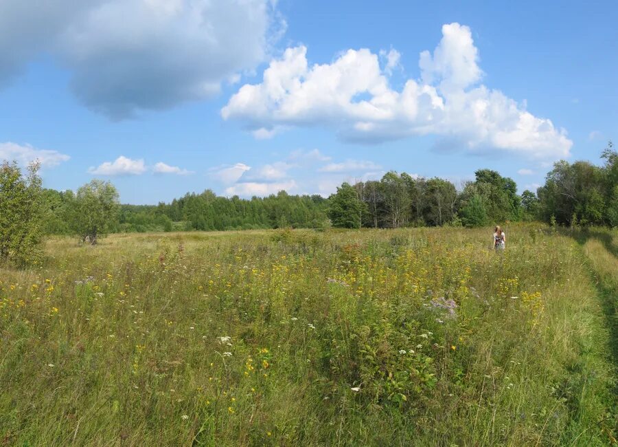 56 соток. Участок 124. Малое брянцево 124 участок. Участок 56 соток. Деревня малое брянцево.