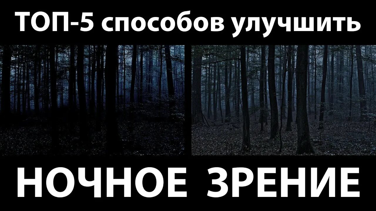 Зрение ночью. Ночное зрение у человека. Как улучшить ночное зрение. Как лучше видеть в темноте. Ночное зрение пе