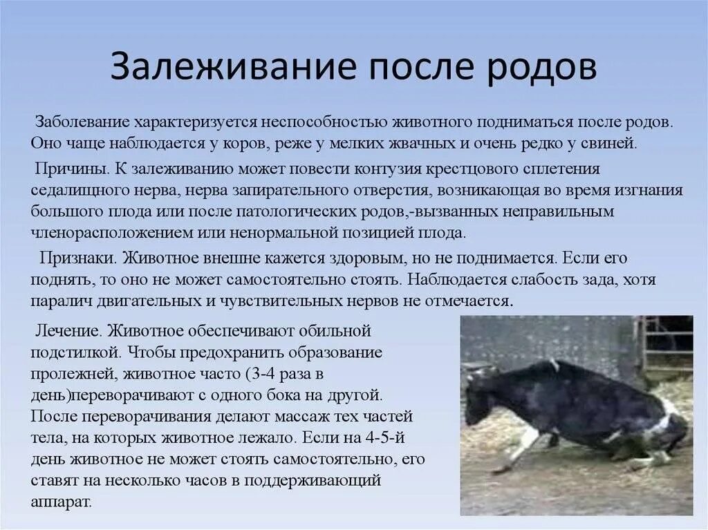 Физиологические состояния животных