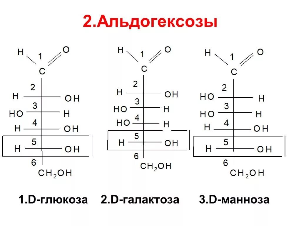 Галактоза что это. D Глюкоза и d манноза. Альдогексоза. Глюкоза манноза галактоза. D манноза + н2.