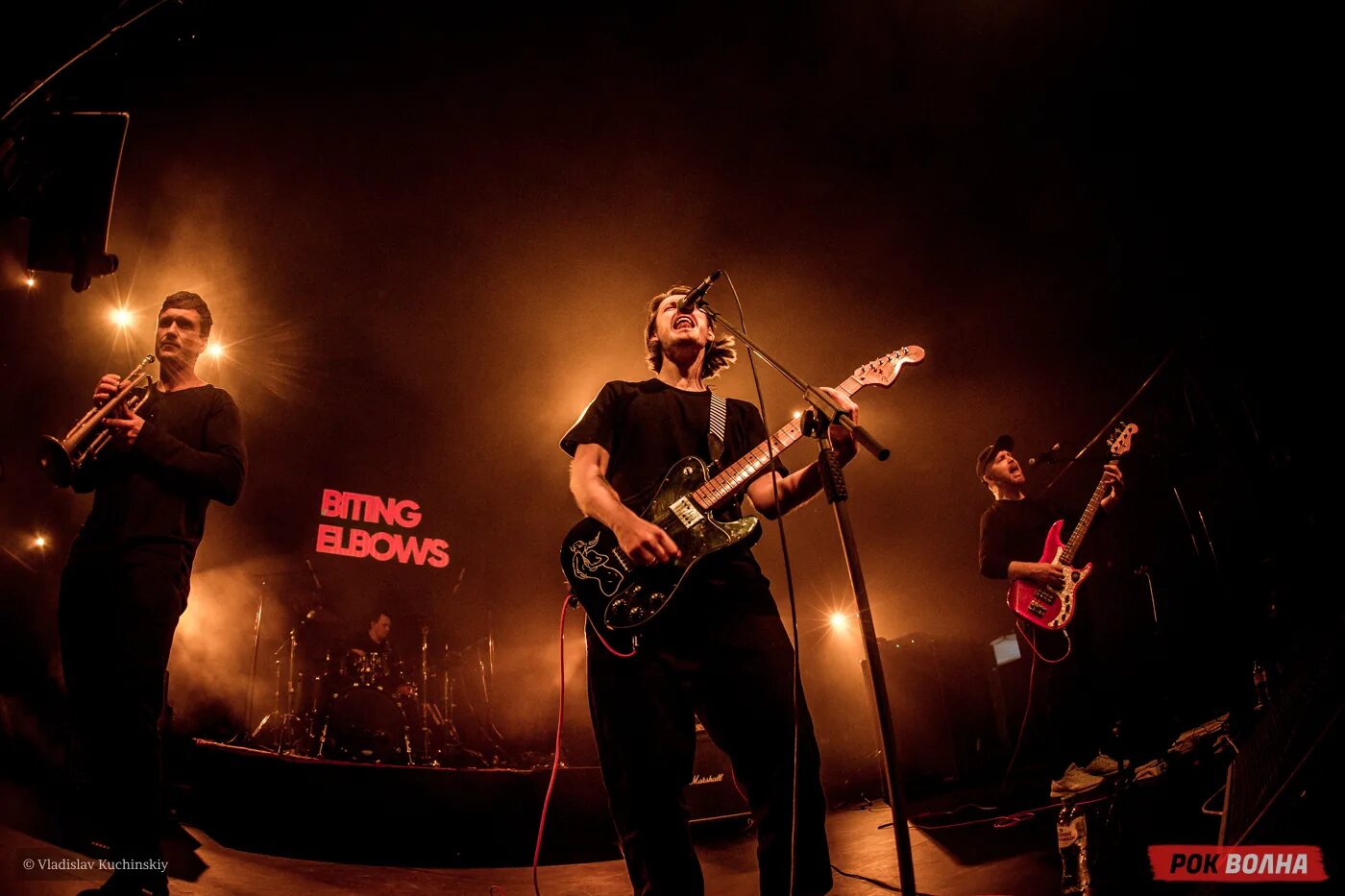 Макс ильин собаки качалова. Выступление группы щенки в санкт петербурге. Поклонники рока. Щербаков питер концерт. Собака качалова фото.