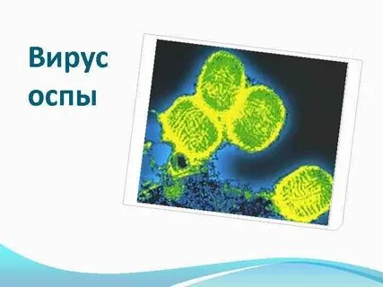 Природный возбудитель