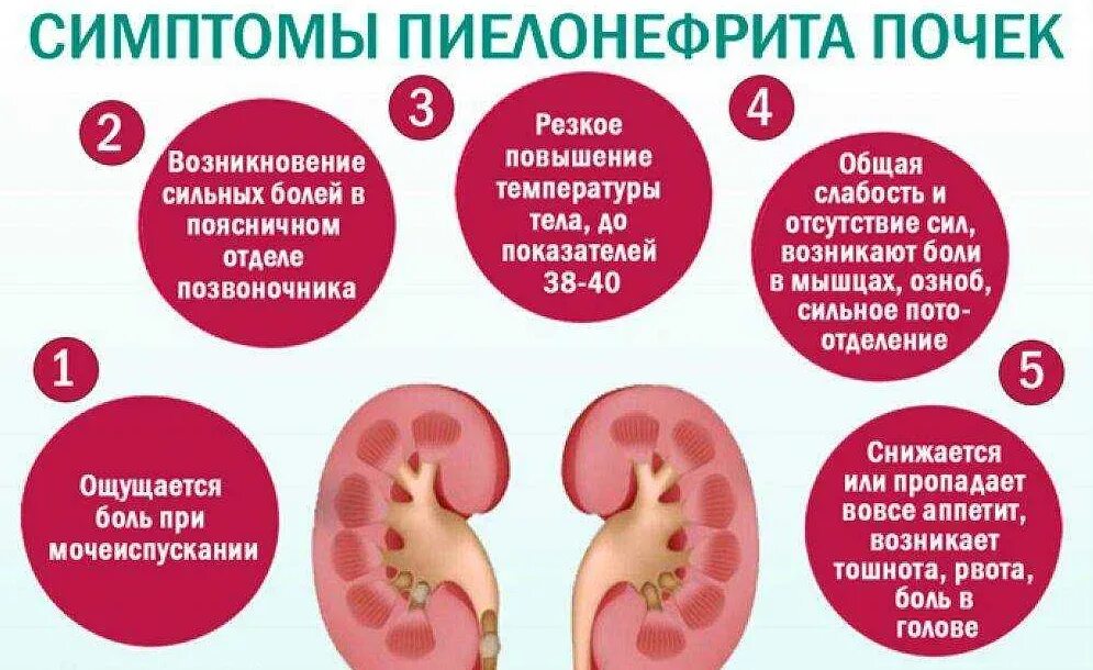 Частые заболевания почек. Пиелонефрит симптомы у женщин. Симптомы при пиелонефрите. Пиелонефрит почек симптомы.