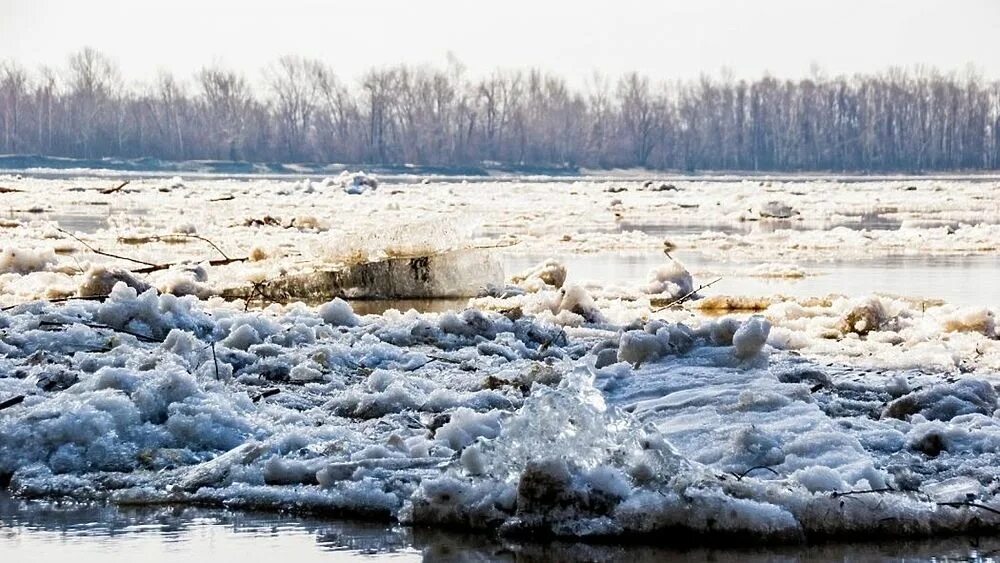 Где пошел лед. Ледоход Обь. Ледоход Обь Салемал. Ледоход в Барнауле 2023. Ледоход Великий Устюг 2023.