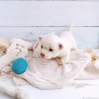 Мягкие игрушки краснодар