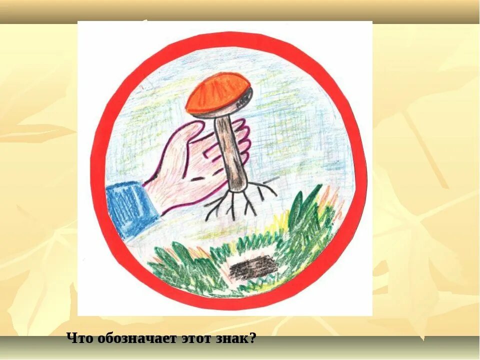 Знак нельзя собирать грибы. Экологические знаки. Экологический знак про грибы. Экологический знак сбора грибов. Экологический знак для грибов.