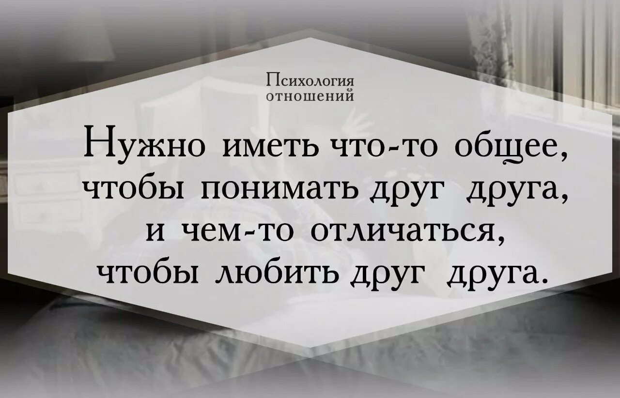 Знакомый приятель друг. Нужно иметь что-то общее чтобы понимать друг друга. Нужно иметь что-то общее. Нужно иметь что-то общее чтобы понимать друг. Чтобы любить друг друга нужно нужно иметь.