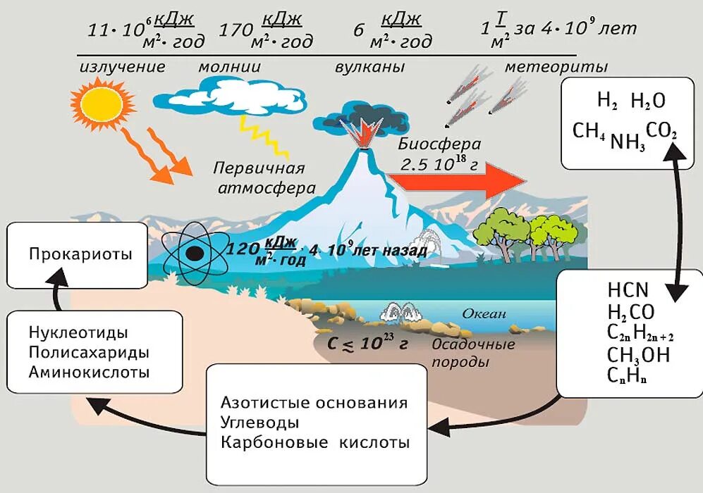 6 5 млрд лет назад биосфера