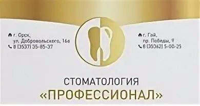 Платные врачи орск. Стоматология профессионал Орск. Профессионал стоматология Орск Добровольского. Орск стоматология профессионал врачи.