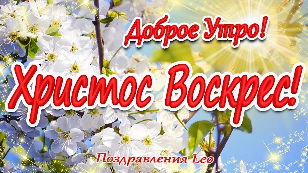 Доброе утро христос воскрес. Доброе утро христос воскресе. с добрым утром пасхи. открытки с добрым пасхальным утром. с добрым утром христос воскресе.