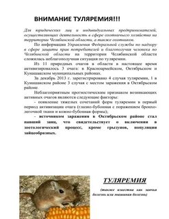 Туляремия относится к группе