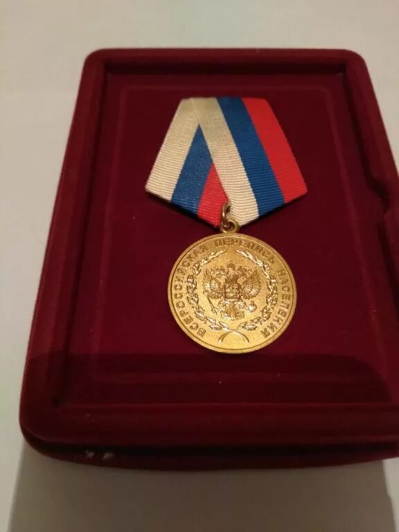 Медаль всероссийская перепись населения 2002. Медаль за заслуги в проведении всероссийской переписи населения 2002. Медаль перепись населения 2010 года. Медаль за заслуги в проведении всероссийской переписи населения. Медаль перепись населения 2010 года.