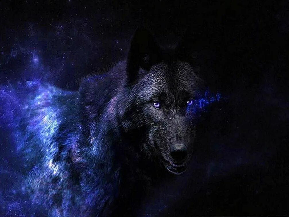The terminal list dark wolf