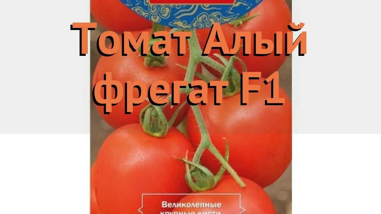 Томат алый f1. Томат алый Фрегат f1. Томат фрегатта f1. Томат алая Каравелла красный f1. Томат Алые паруса f1 Престиж..