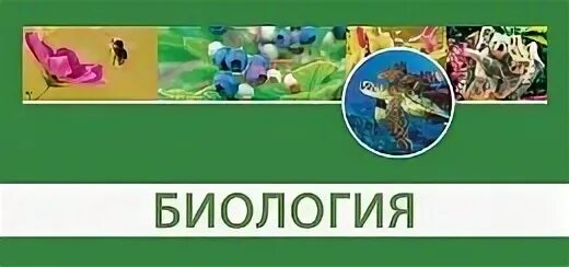Новый фгос урок биологии. Умк по биологии.