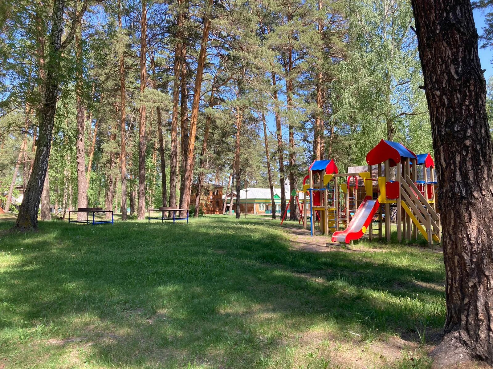 Загородный лагерь Соснячок. Лагерь берёзка Алтайский край. Лагерь Чайка Барнаул. Соснячок детский оздоровительный лагерь Барнаул. Сайт лагеря алтайский край