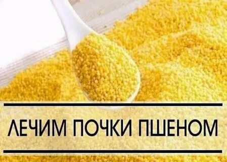 Как лечить почки пшеном - Пшено картинка. sushimag.com.ua