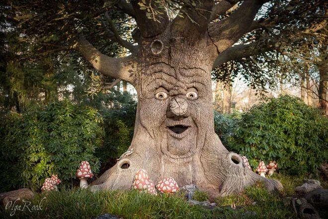 В причудливую 3. Секвойя и баобаб. Остров сокотра йемен. В причудливую 3. Необычные горы.