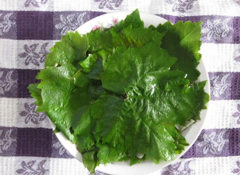 Классическая долма, но с оригинальным соусом! Ням Ням Дзен