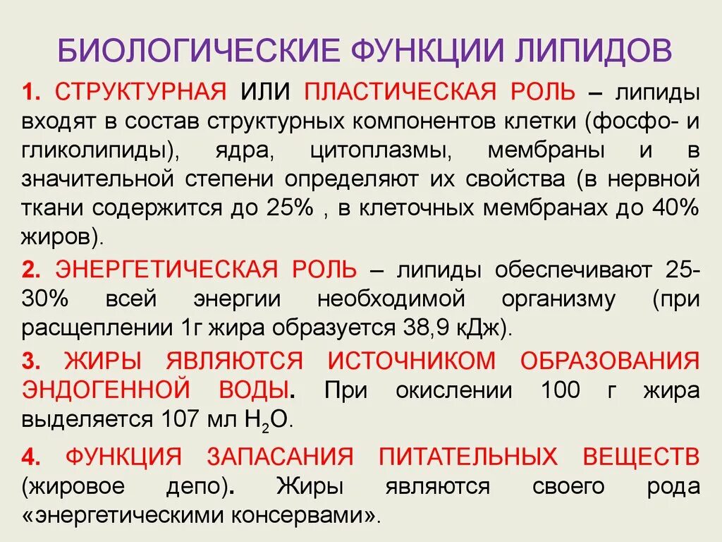 Биологические функции липидов в организме. Функции липидов. Пластическая роль липидов. Строение и биологическая роль липидов. Биологические функции липидов.