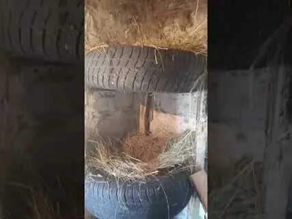 Гнездо для кур из покрышек своими руками