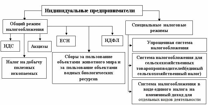 1 налогообложение предпринимательской деятельности. Схема системы налогообложения РФ. Схема систем налогообложения для ИП. Индивидуальные предприниматели схема налогообложения. Виды налогов уплачиваемых индивидуальным предпринимателем.