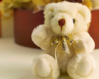 Oh no teddy
