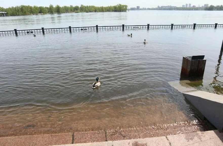 Уровень воды алей. Красноярск набережная Енисея. Набережная Енисея Красноярск 2021. Левобережная набережная Енисея Красноярск. Затопленная набережная Красноярск.