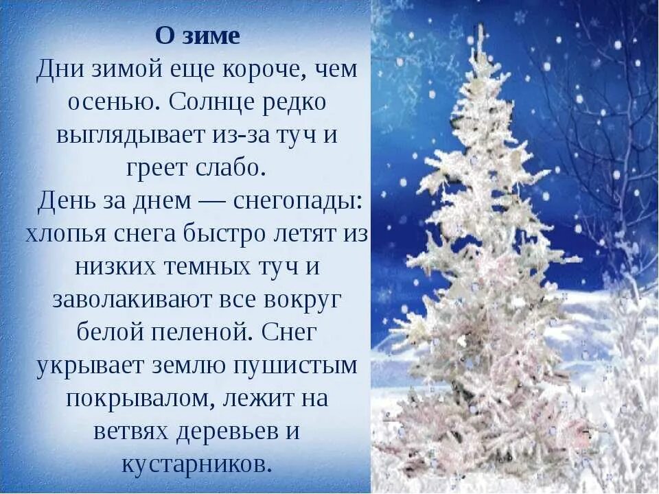 Рассказ о зиме. Сочинение про зиму. Рассказ о зиме 2. Текст про зиму. Текст про зимний